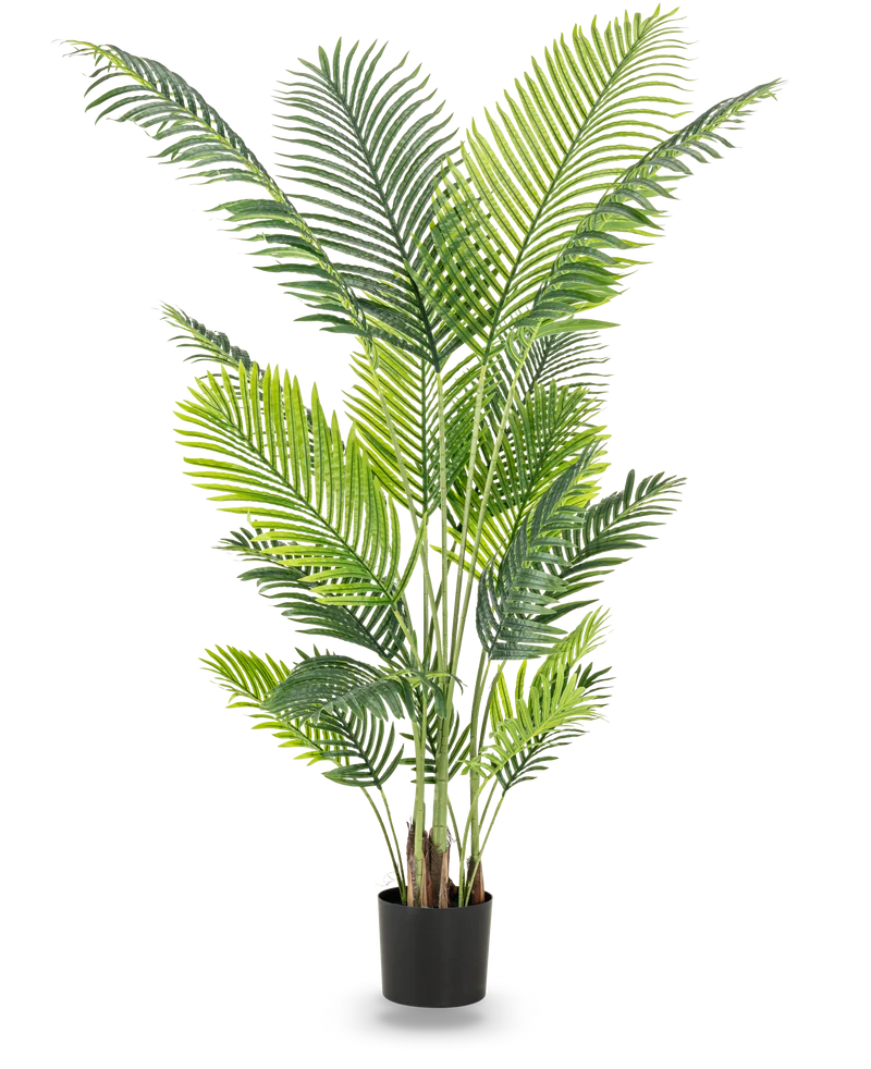 Künstliche Pflanze Phoenix 180 cm