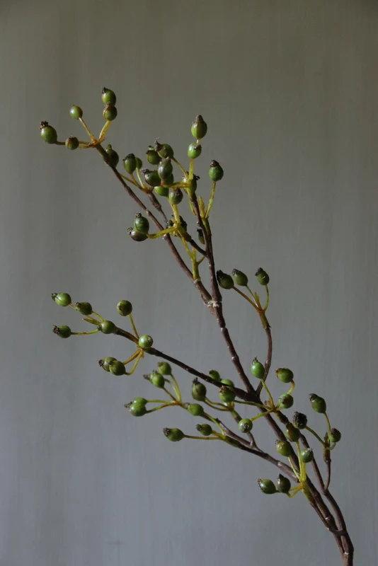 Rozenbottel kunsttak groen - 62cm