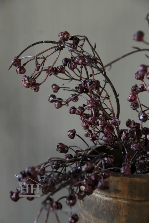 Kunsttak met bessen aubergine - Bundel van 3
