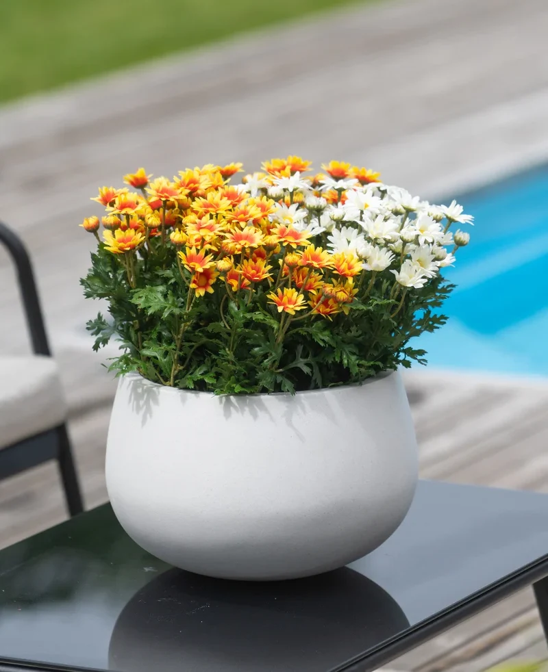 Kunstplant Daisy UV 31 cm