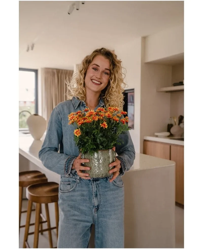 Kunstplant Daisy UV 31 cm