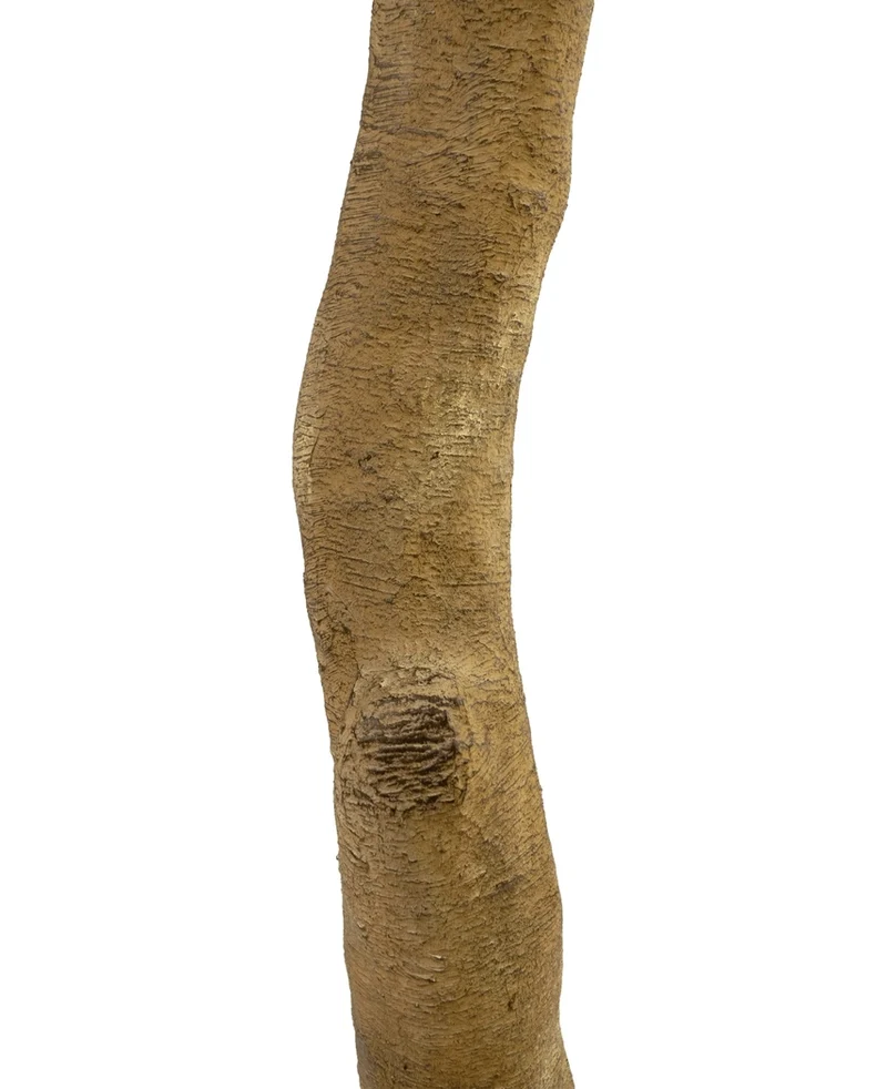 Kunst Appelboom 240 cm