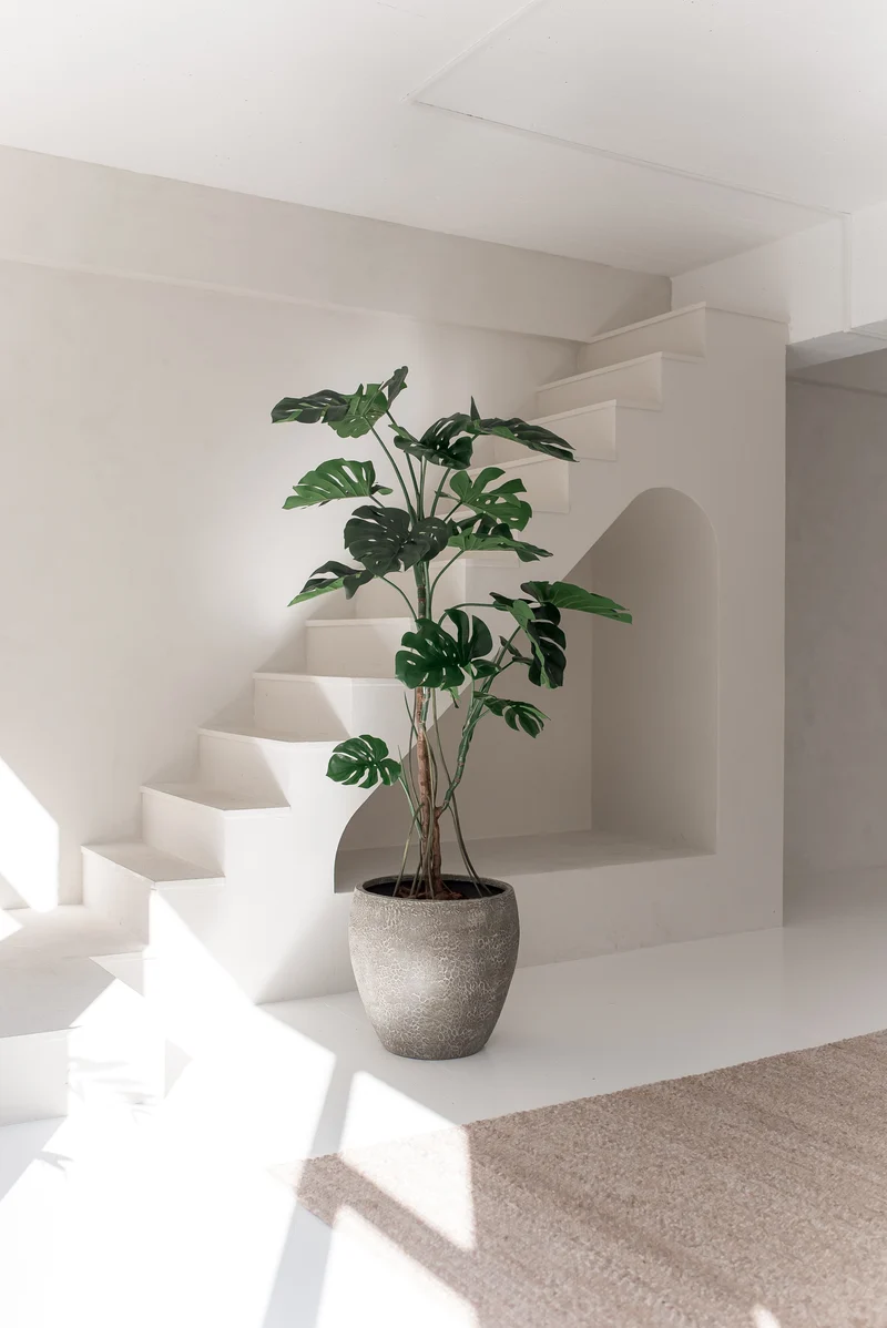 Kunstplant Monstera 210 cm