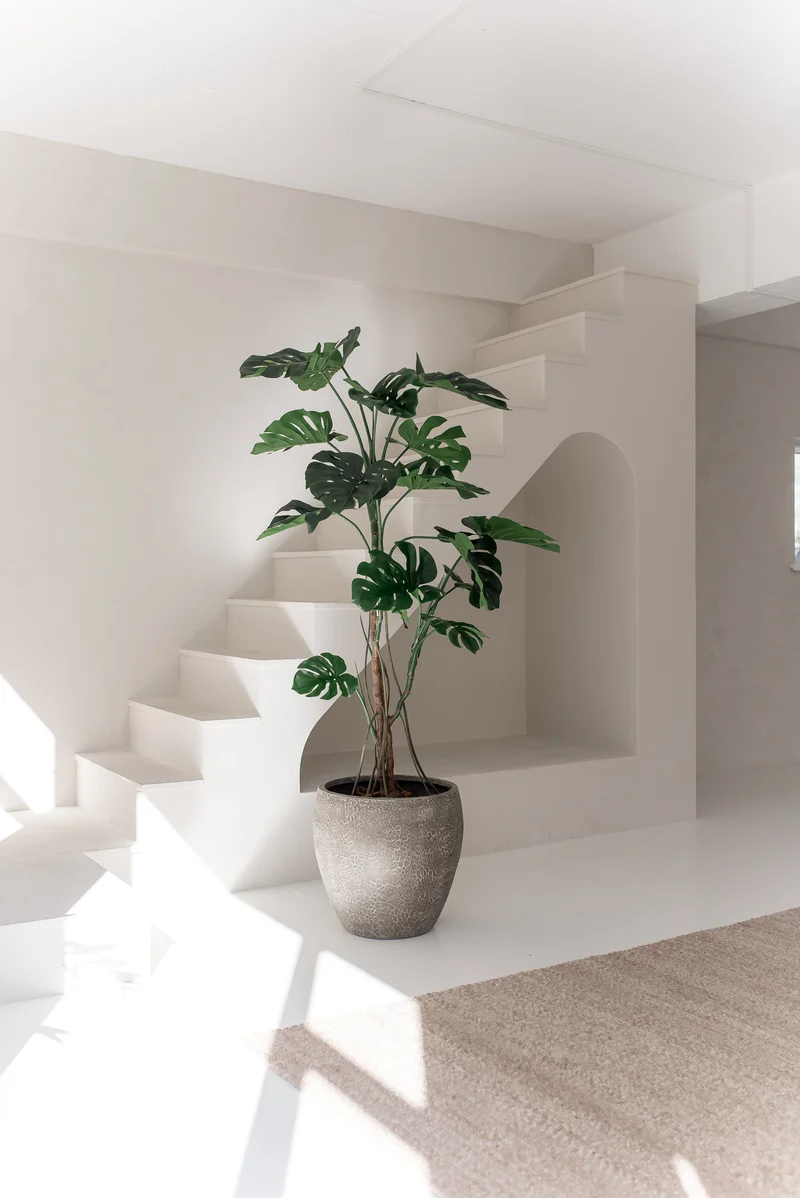 Kunstplant Monstera 210 cm