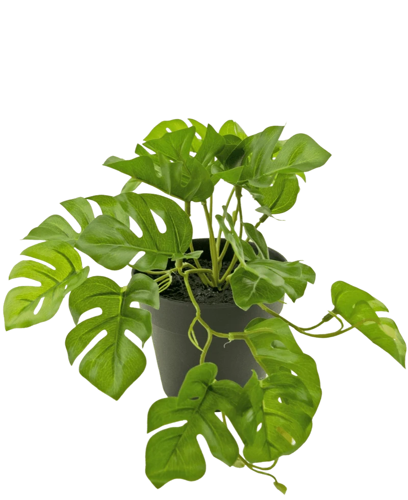 Kunstplant Monstera 18 cm