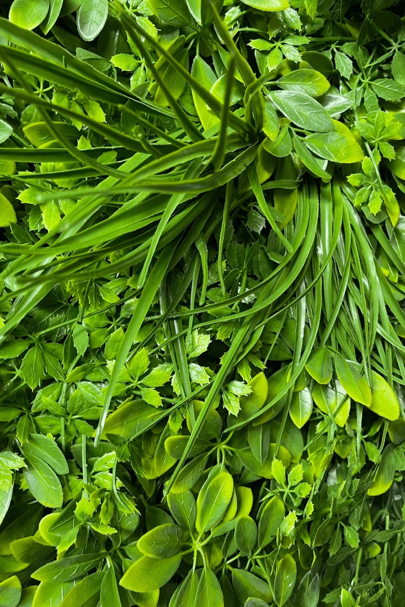 Schefflera-Mix Kunsthecke Wandpanel 50x50cm UV