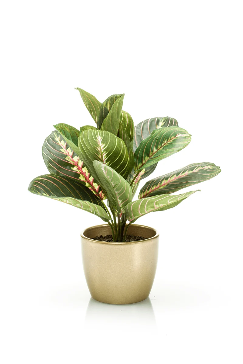 Maranta Bush Kunstpflanze im goldenen Topf 30cm