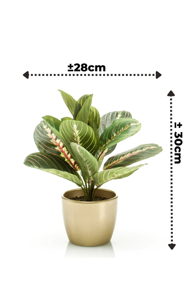Maranta Bush Kunstpflanze im goldenen Topf 30cm