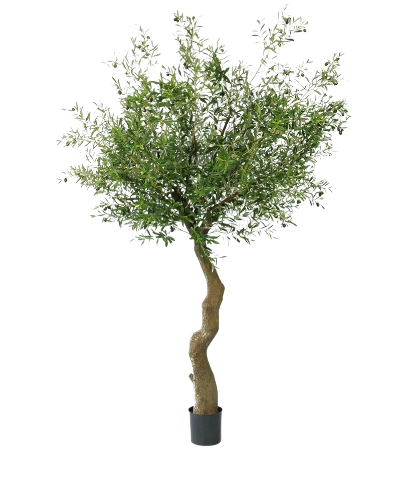 Künstlicher Olivenbaum 270 cm mit Oliven