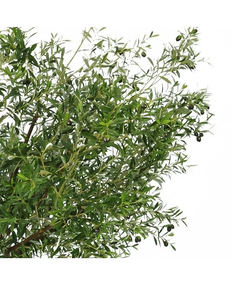 Künstlicher Olivenbaum 270 cm mit Oliven