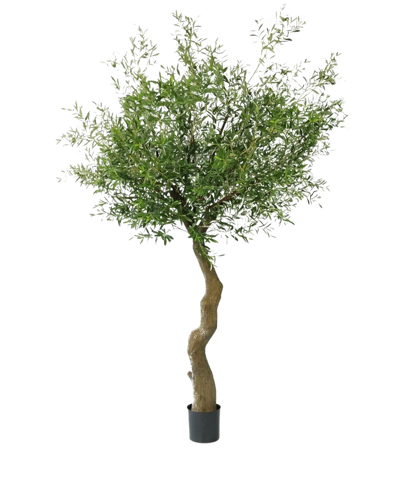 Künstlicher Olivenbaum 270 cm ohne Oliven