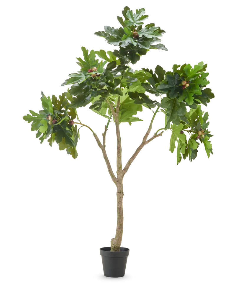 Künstliche Pflanze Ficus Carica Veigenboom 210 cm