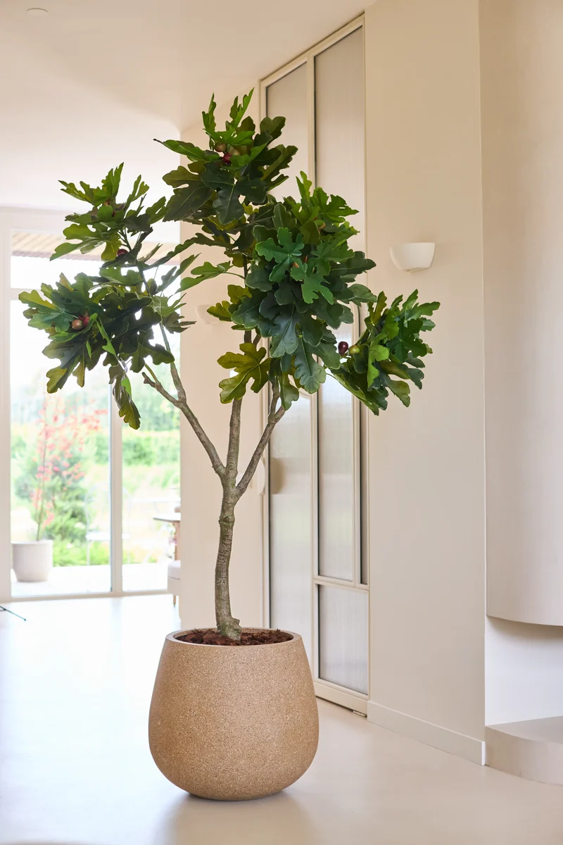 Künstliche Pflanze Ficus Carica Veigenboom 210 cm