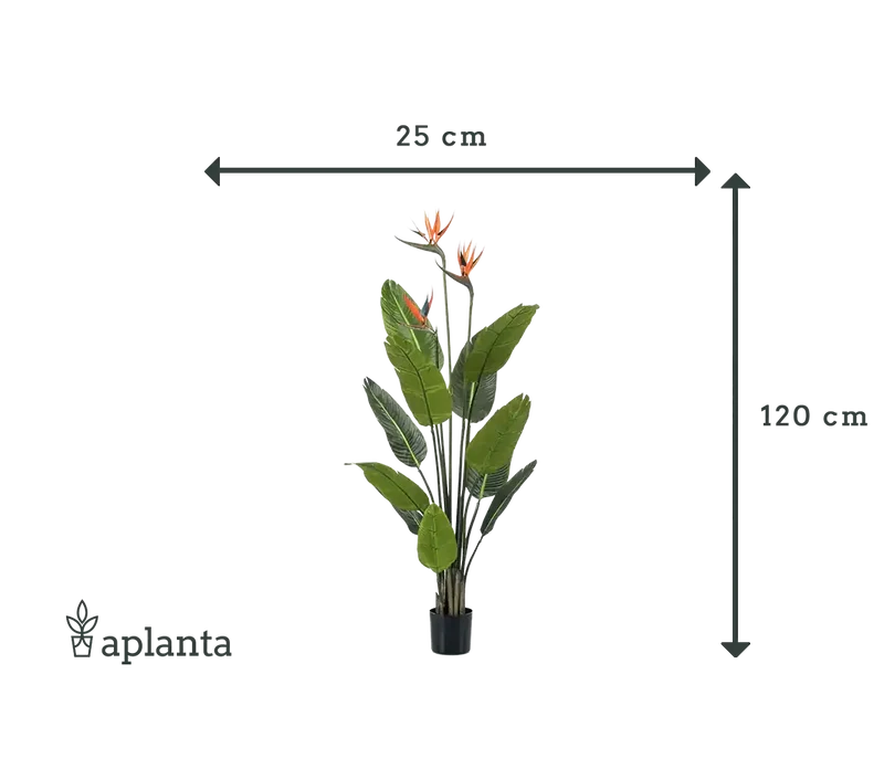 Künstliche Strelitzia - Constantin | 120 cm