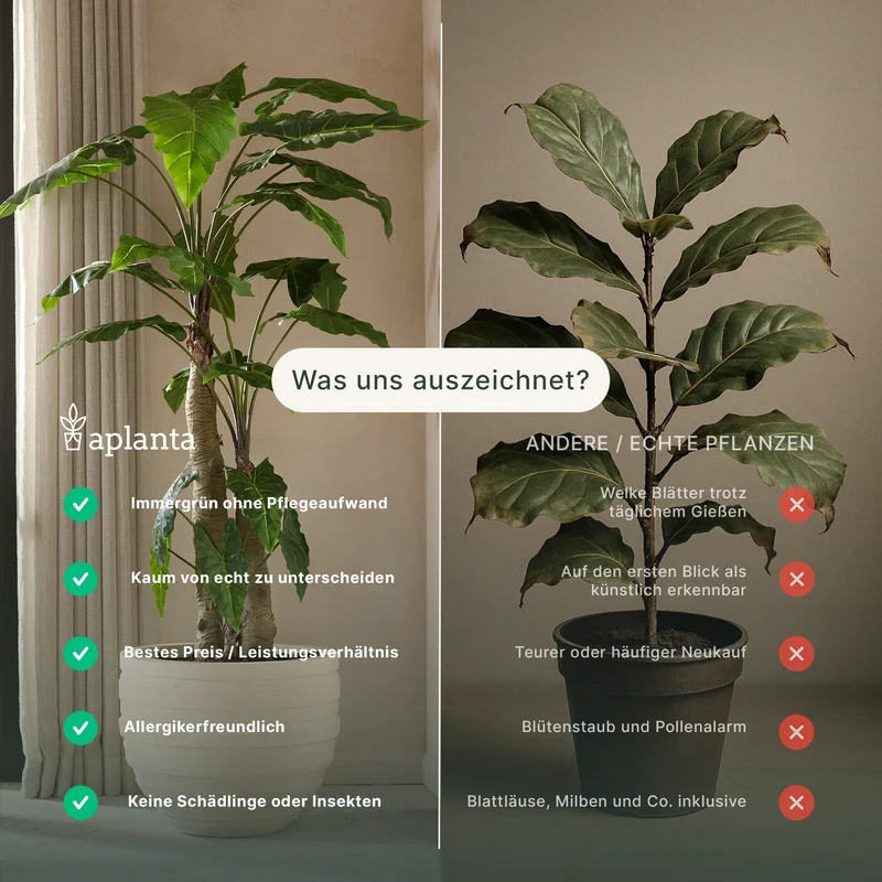 Künstlicher Ficus - Jannik | 330 cm