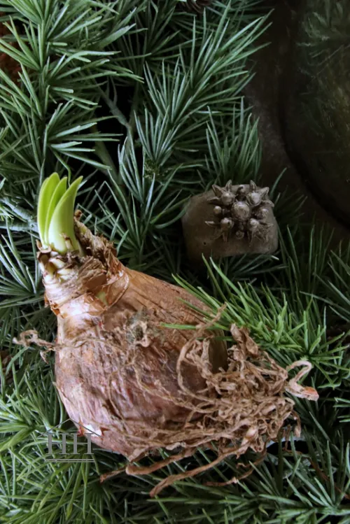 Jewel Barok met magneetje voor de servetring PMR