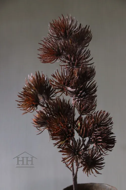 Pine spray donkerbruin 75cm
