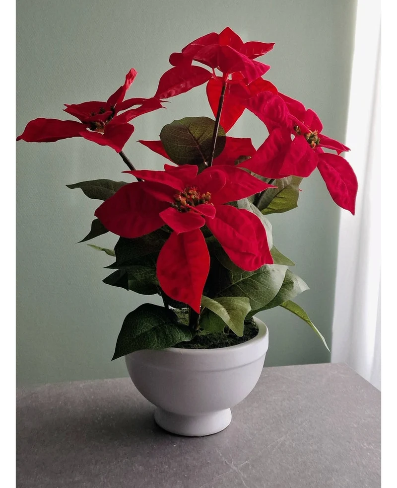 Künstliche Pflanze Weihnachtsstern 44 cm rot