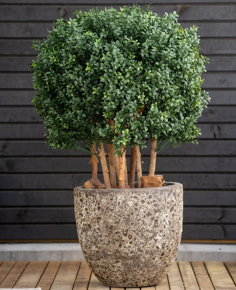 Kunst Buxusbal Hout Romeinse stijl UV 90 cm