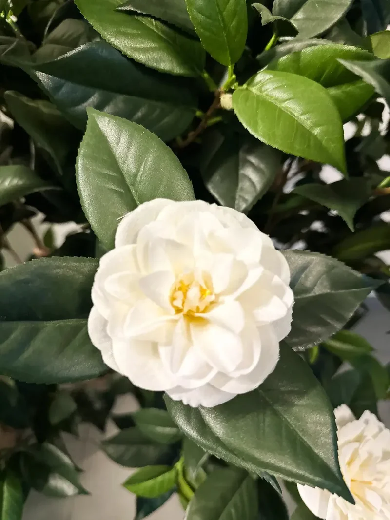 Künstlicher Kamelienbaum - Pina | 130 cm