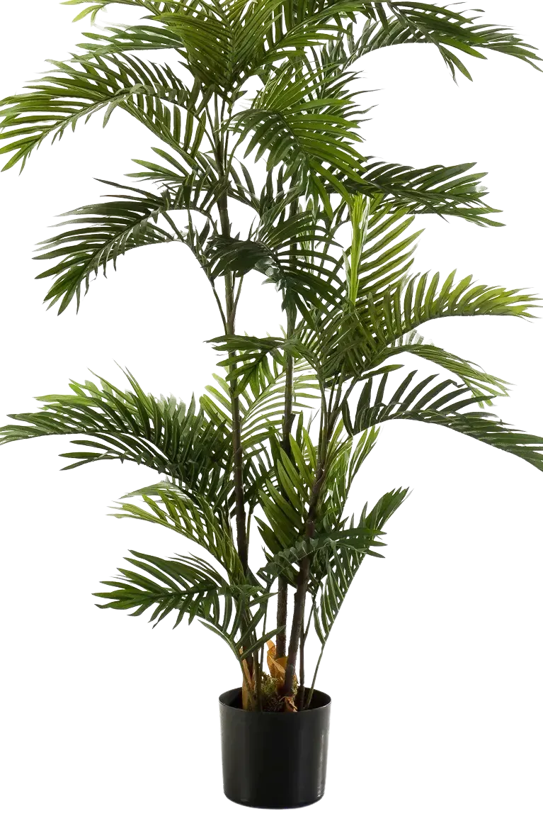 Künstliche Phoenix Palme - Kira | 180 cm