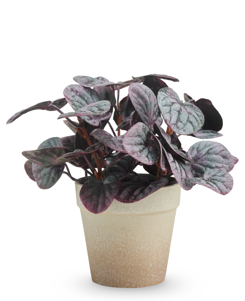 Künstliche Pflanze Rugose Blatt 21 cm Grau