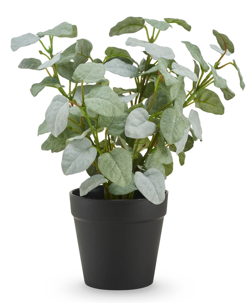 Künstliche Pumila "Silber" im Topf 25 cm UV