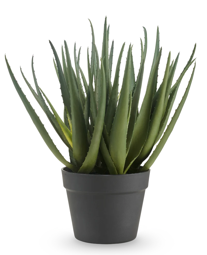 Künstliche Pflanze Aloe 46 cm