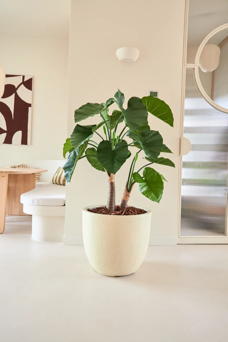 Künstliche Pflanze Alocasia 120 cm