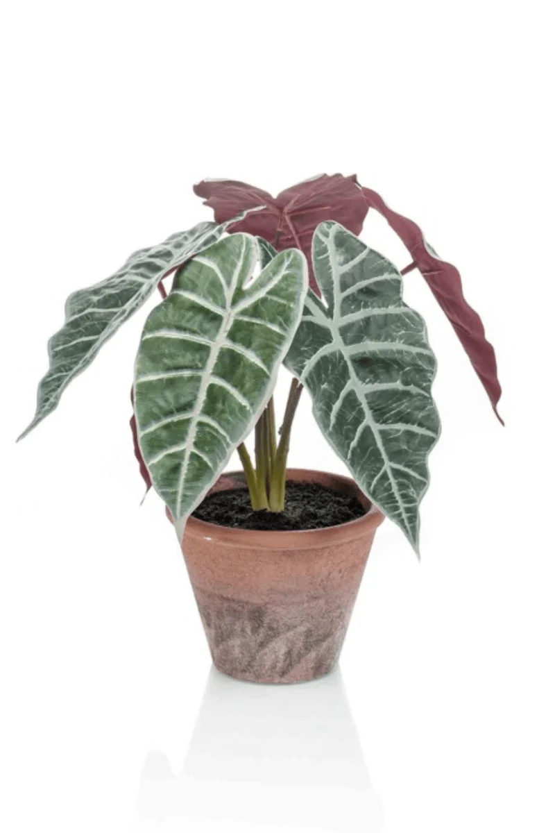 Alocasia Kunstpflanze 29cm