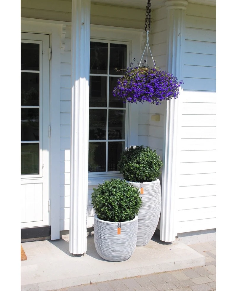 Kunstplant Buxus op stam romeinse stijl UV 65cm