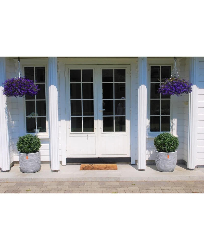 Kunstplant Buxus op stam romeinse stijl UV 65cm