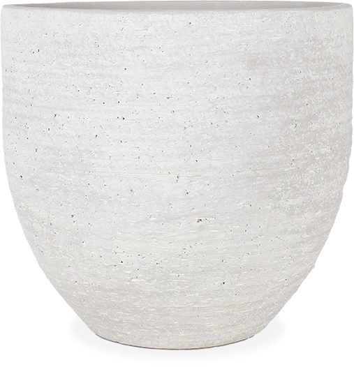 Cas (29cm)
