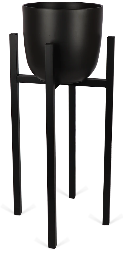 Ascot (34cm) Schwarz & Boule (28cm) Anthrazit