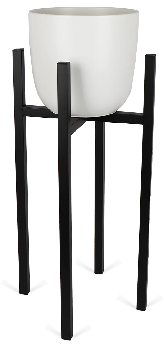 Ascot (34cm) Schwarz & Boule (28cm) Weiß