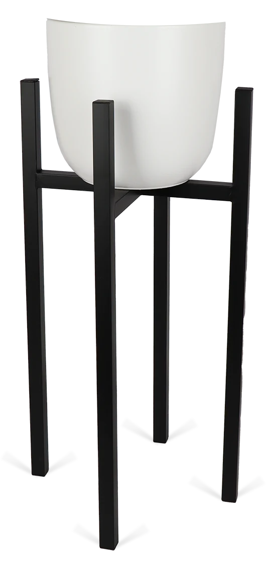 Ascot (34cm) Schwarz & Boule (28cm) Weiß