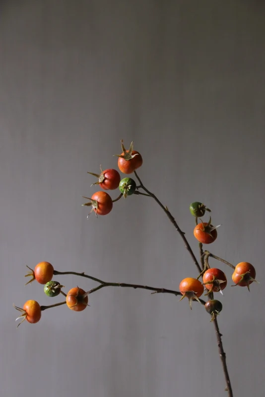 Rozenbottel kunsttak oranje - 66cm