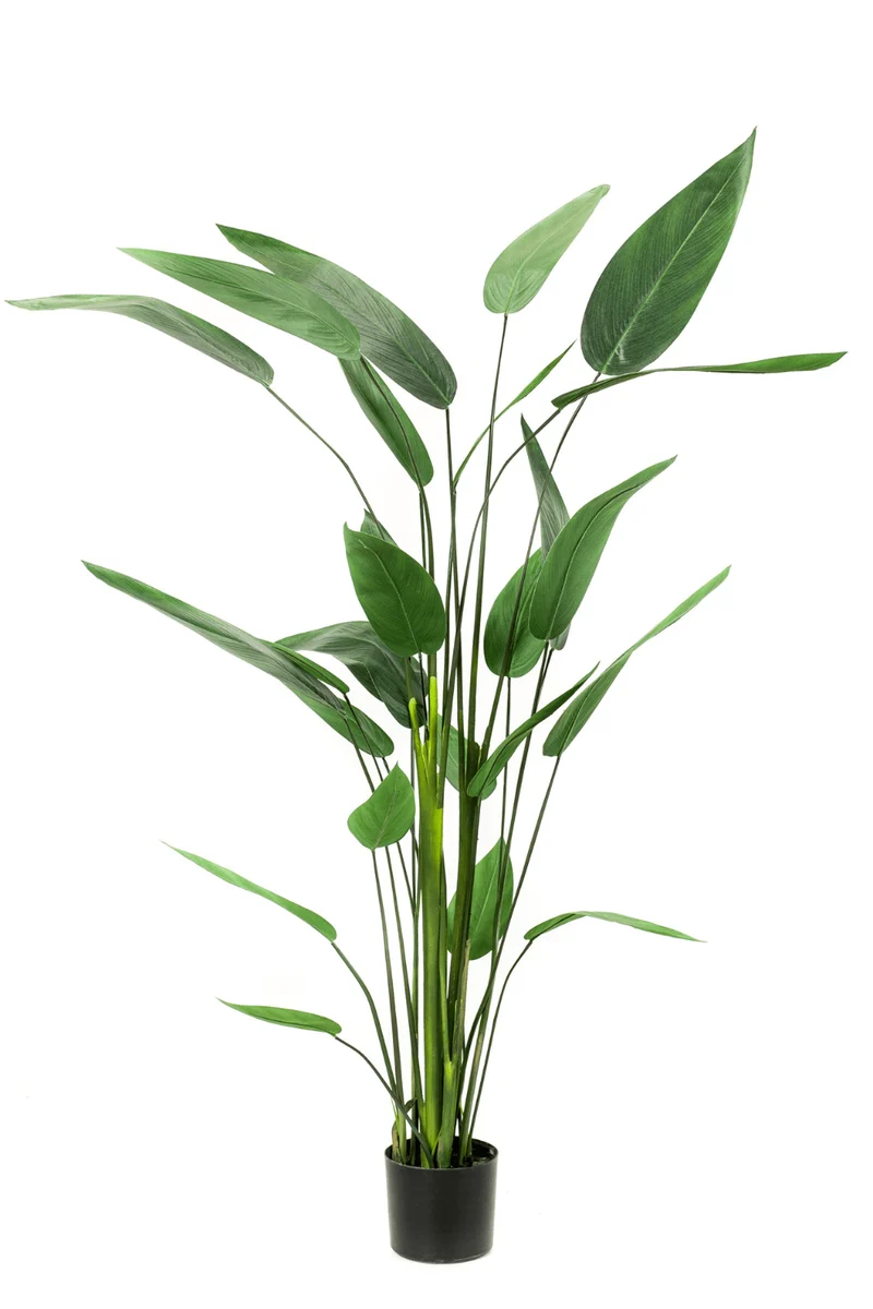 Heliconia Kunstpflanze 175cm