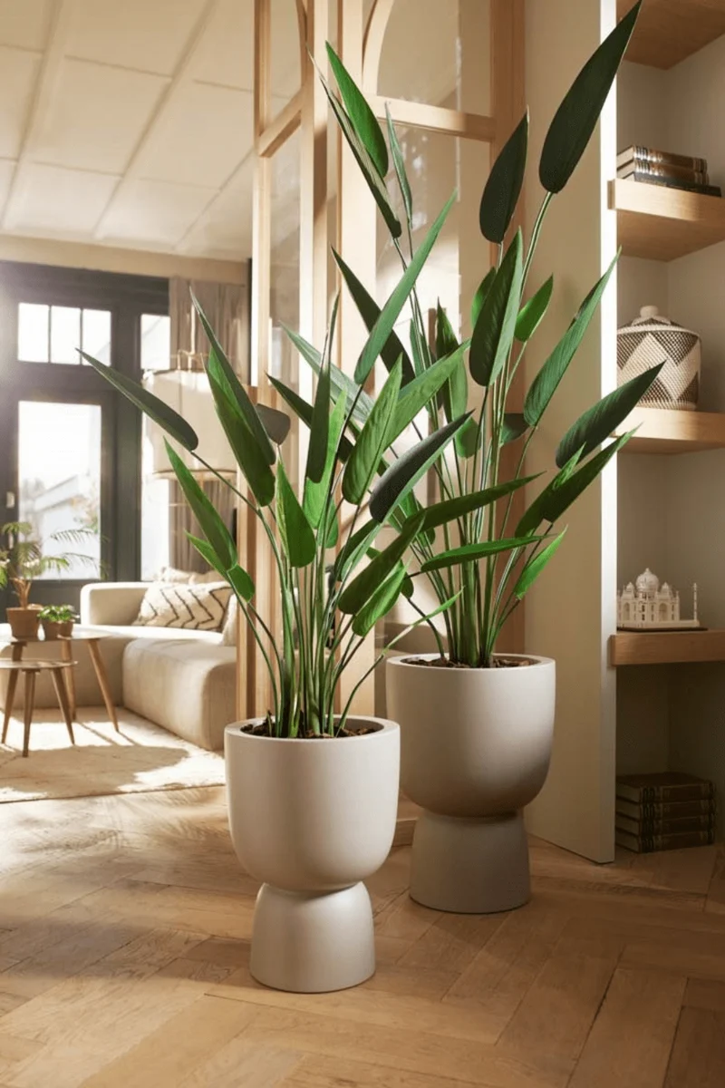 Heliconia Kunstpflanze 175cm