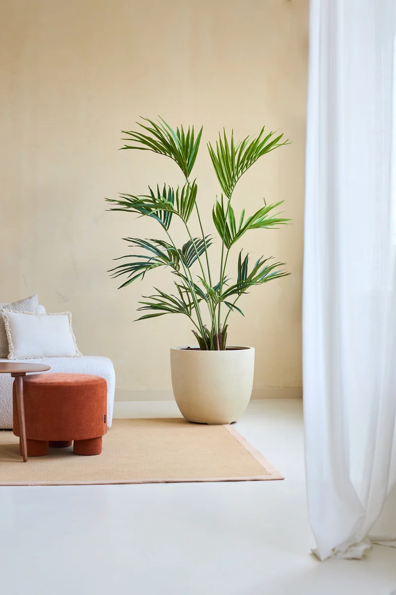 Kunstplant Kentia Palm 180 cm