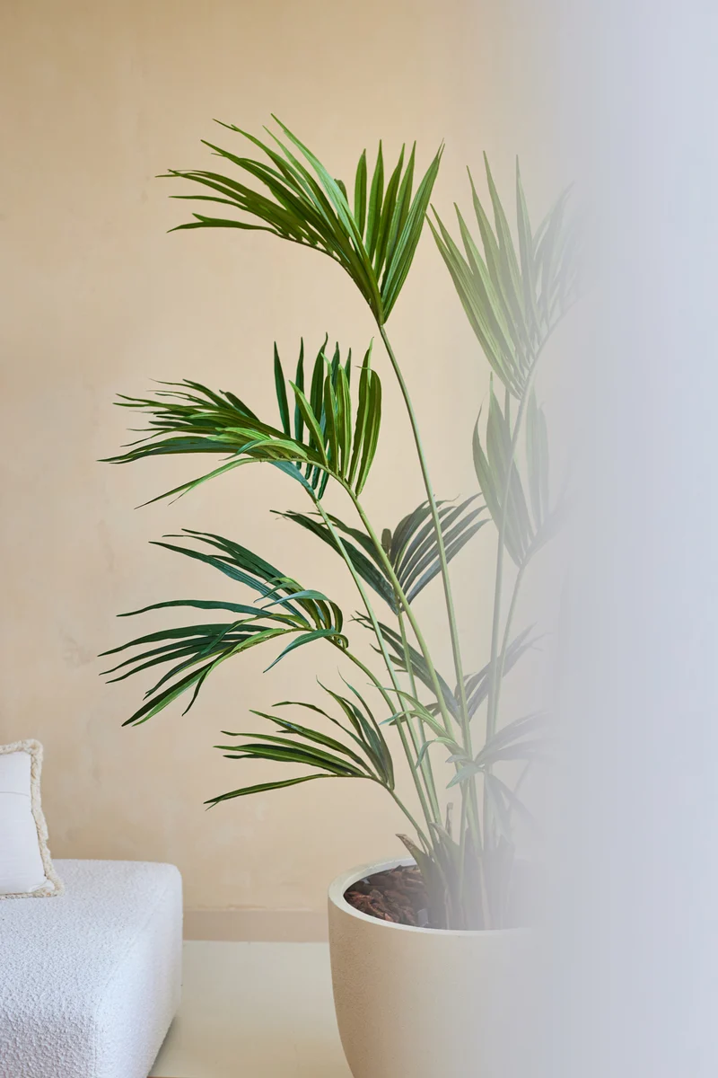 Kunstplant Kentia Palm 180 cm