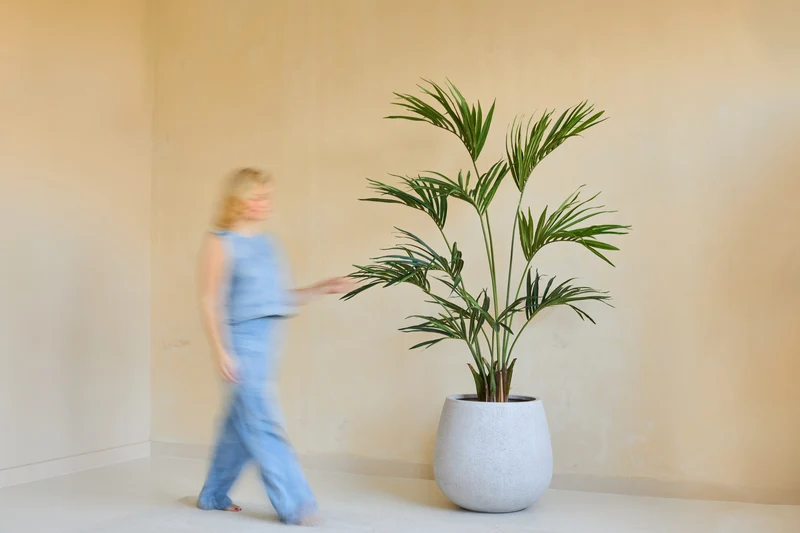 Kunstplant Kentia Palm 180 cm