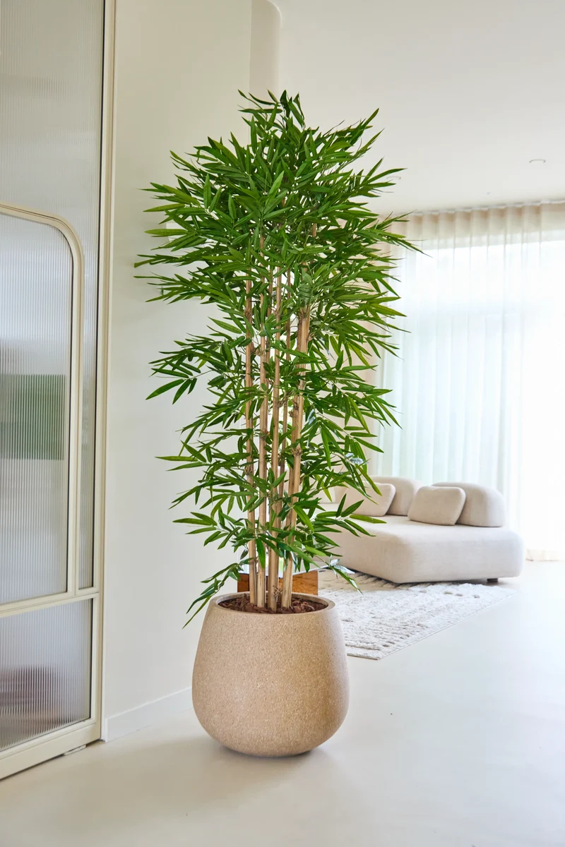 Kunstplant Bamboe 210 cm
