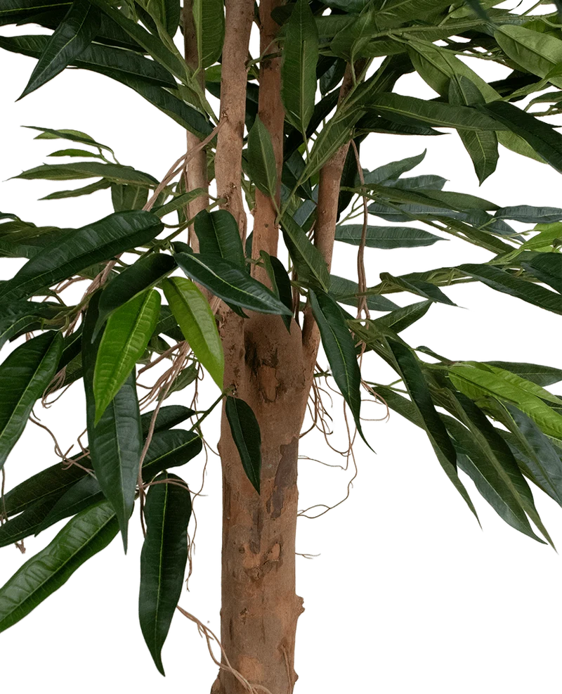 Kunstplant Longfolia 180 cm