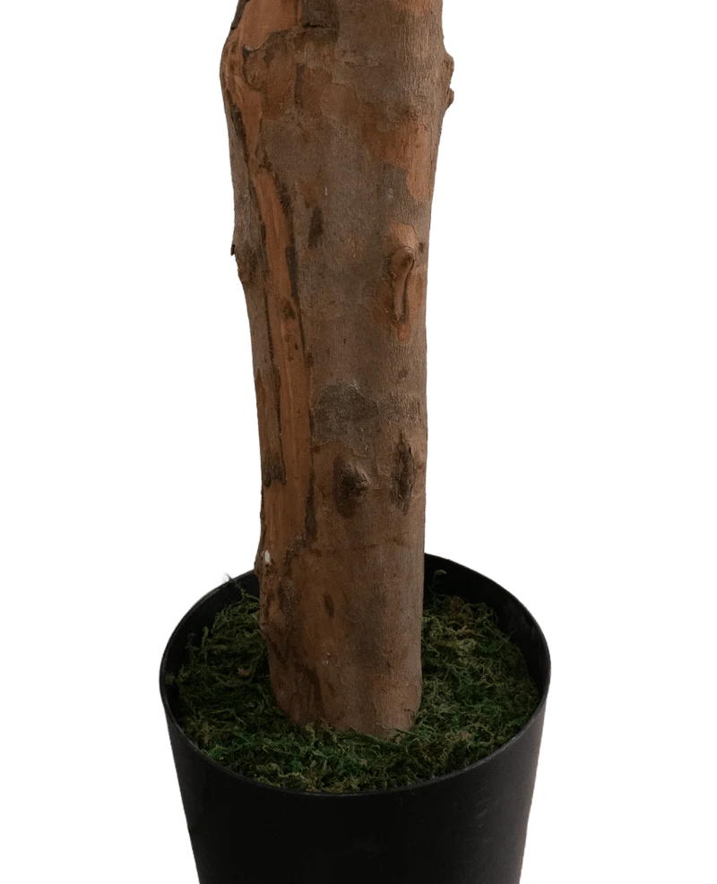 Kunstplant Longfolia 180 cm