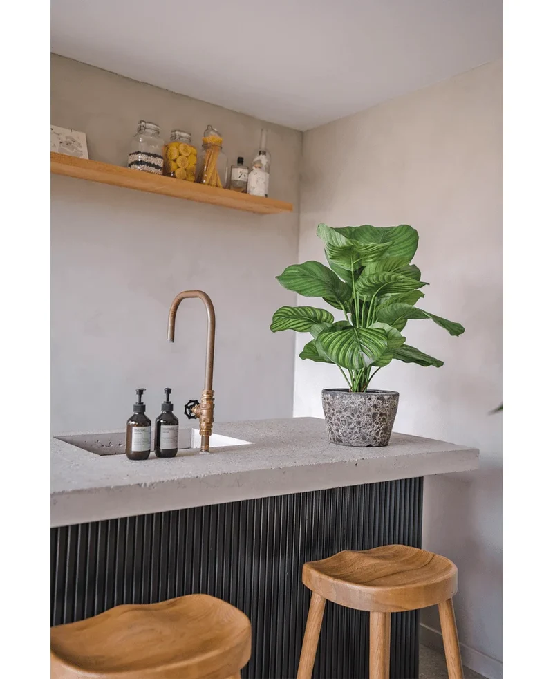 Kunstplant Calathea UV 72 cm