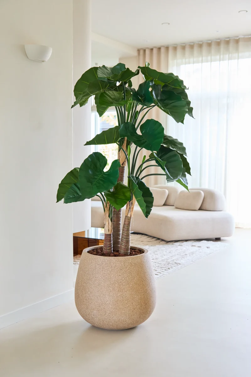 Kunstplant Alocasia 150 cm