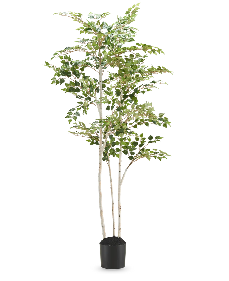 Künstliche Birke "Silber" 180 cm