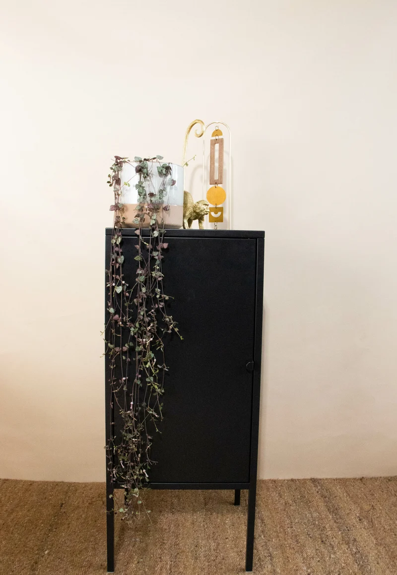 Ceropegia woodii (Leuchterblume)