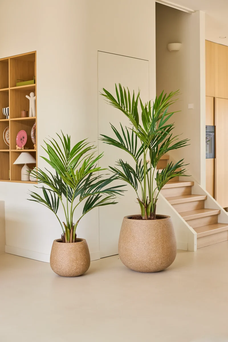Kunstplant Kentia Palm 120 cm